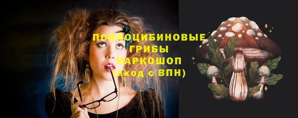 мет Пересвет