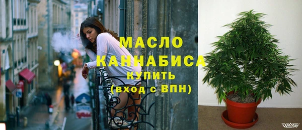мет Пересвет
