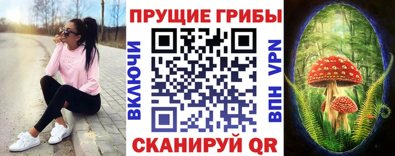 Галлюциногенные грибы мицелий  Кизел 
